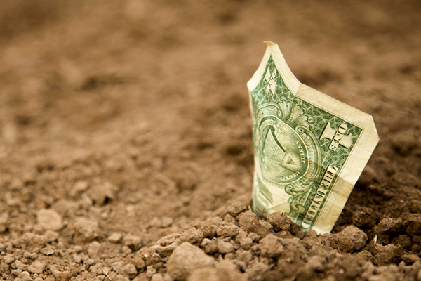 A dollar on the ground tucked into soil