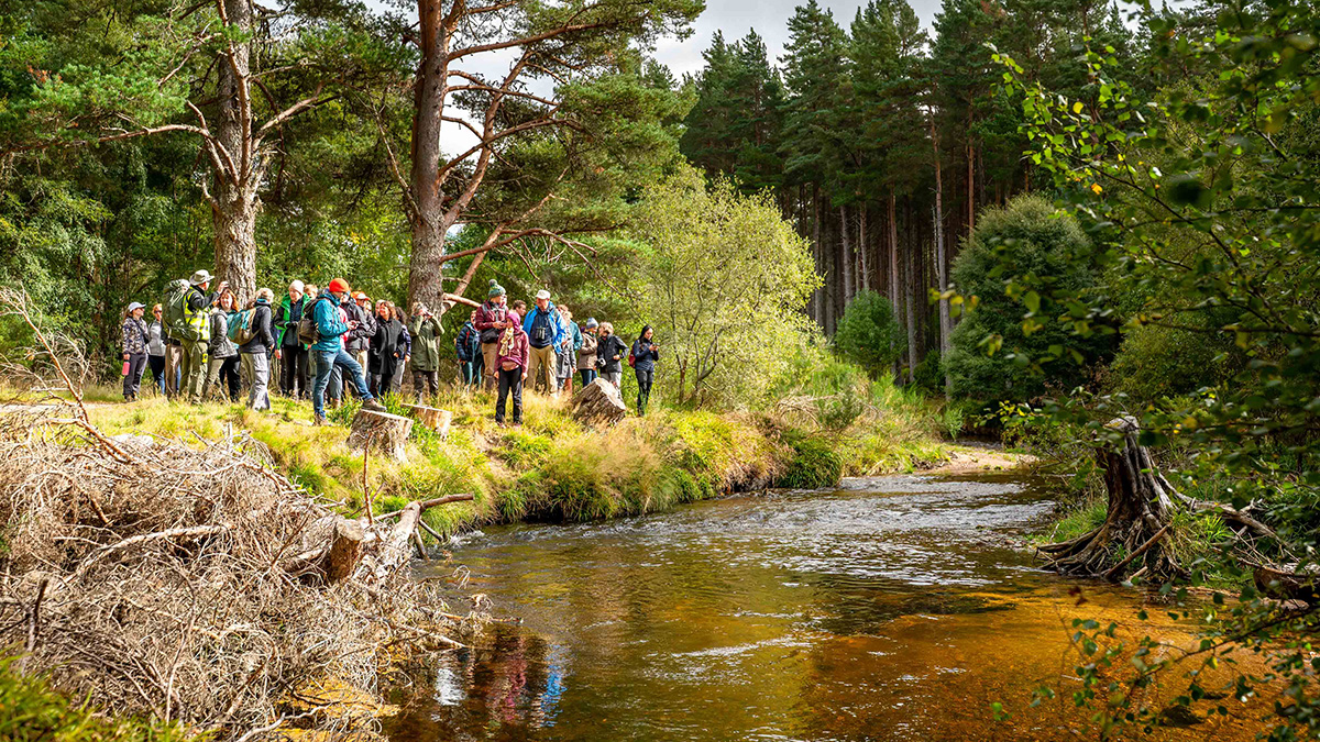 Global experts gather in Inverness as UK hosts beaver conference for first time
