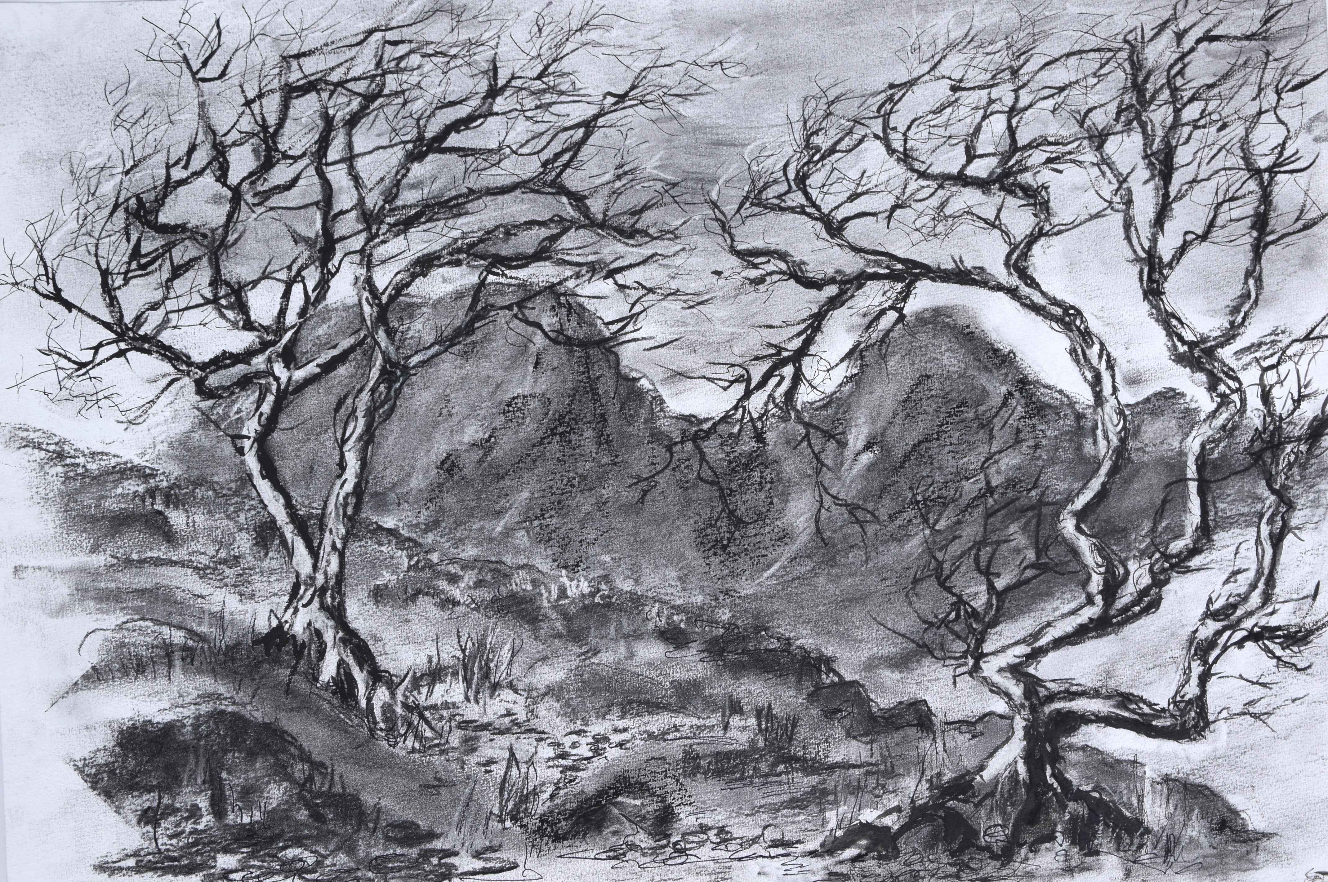 Example of NPA Drawing student work