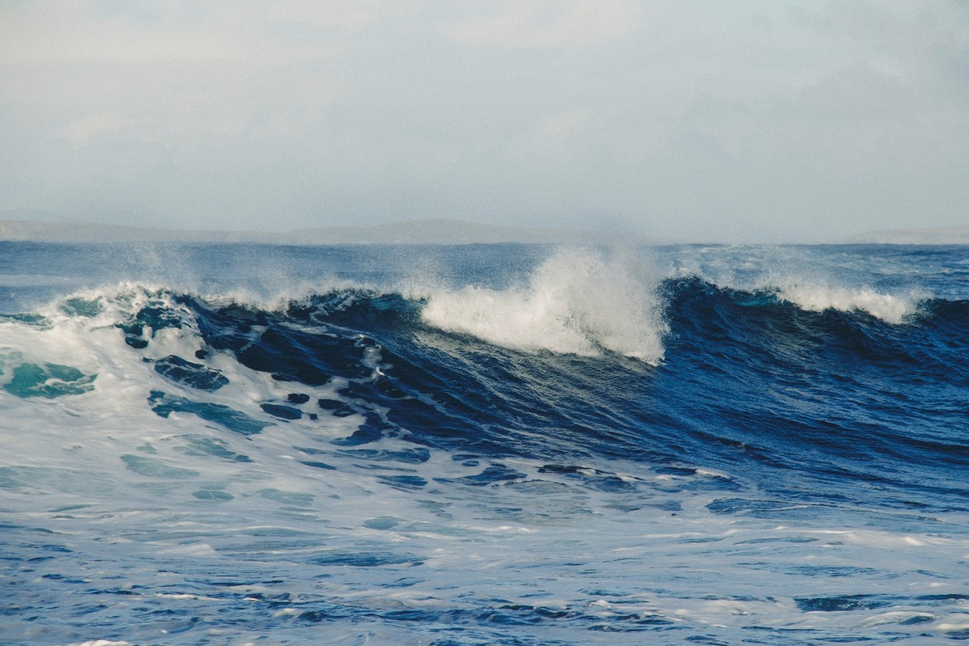 Shetland’s Sustainable Seas: local conference and evening talk champion marine biodiversity and stewardship