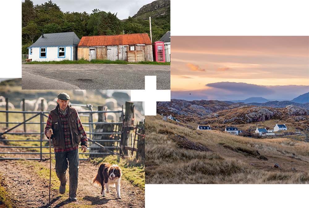 A new building next to an old one | A Shepard and their sheep dog | A few houses within a scenic landscape