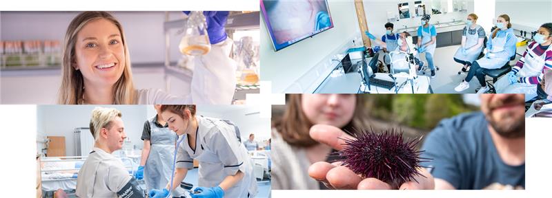 Selection of UHI science-related courses