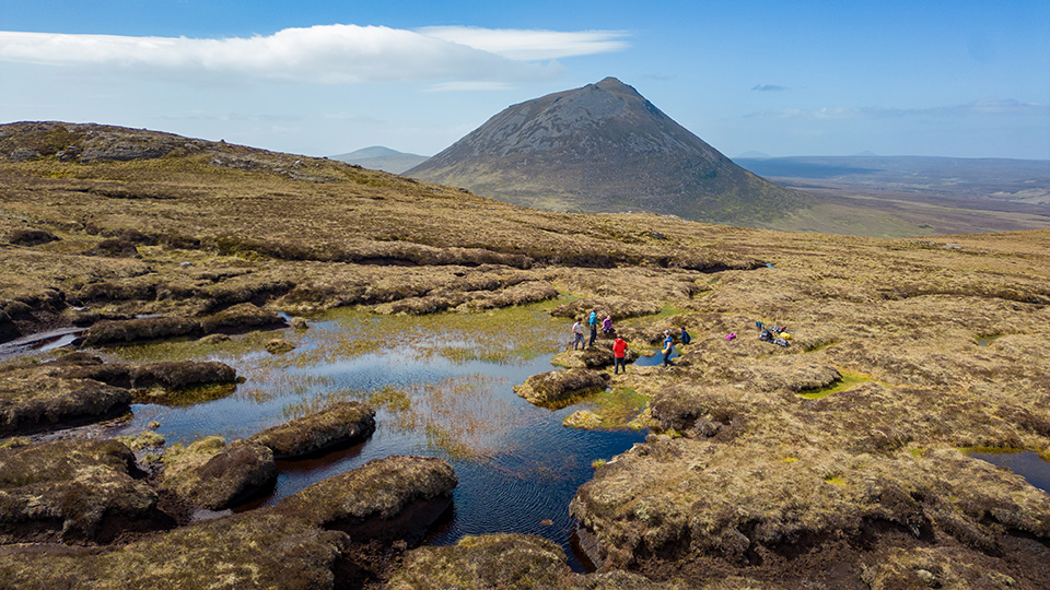 Scotland’s Flow Country secures World Heritage status