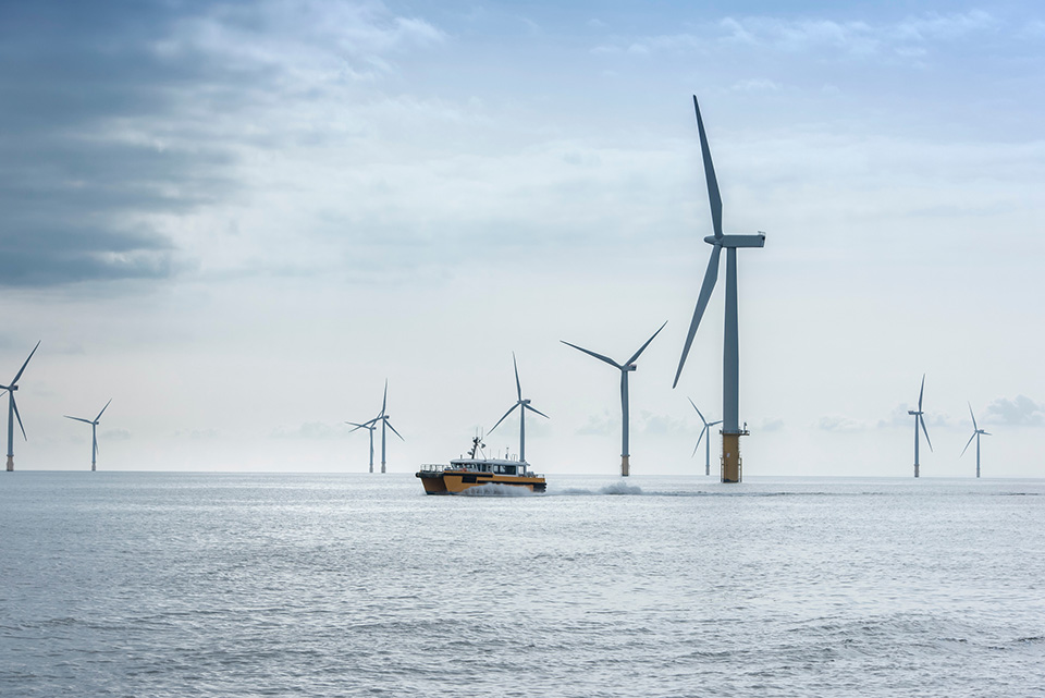 A boat sailing through an offshore windfarm