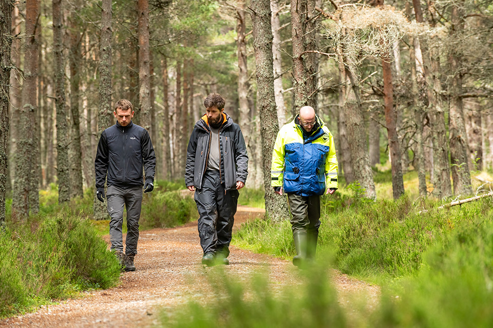 Three people walking through a forest