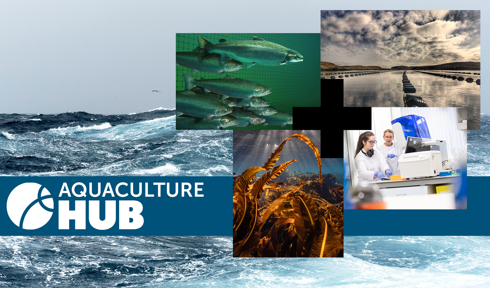 Aquaculture Hub Header Image
