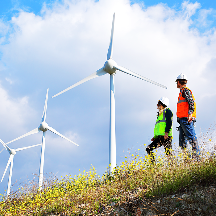 Two people looking at wind turbines