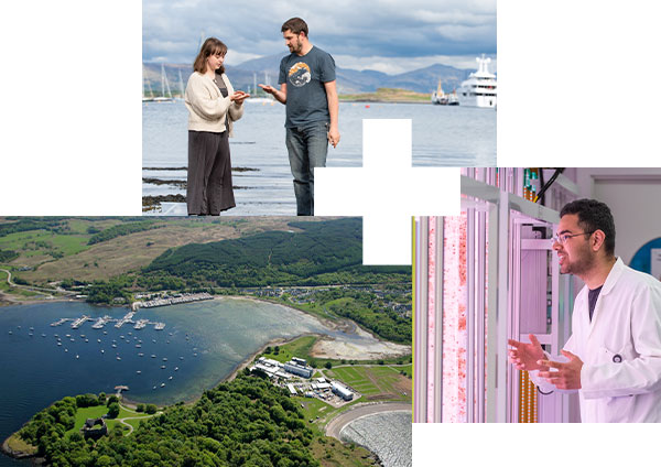 Left: Scottish Association for Marine Science campus from above. Top: Looking at small samples of local coastal flora and fauna. Right: Research student in the laboratory.