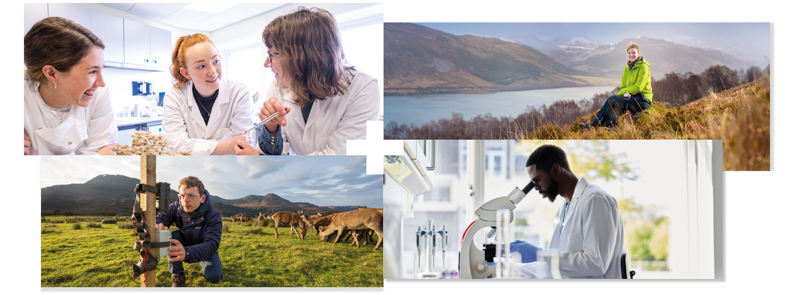 Collage of 4 | Students in a laboratory | A student on a hill | A person conducting an experiment in a glen | A person looking through a microscope